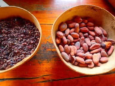 On the left are chocolate nibs (which have no sugar and taste awful) on the right is dried cacao.