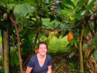 Mary among the cacao trees.